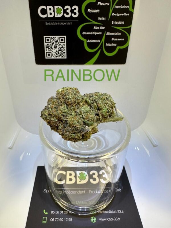 CBD Culture Intérieure - RAINBOW