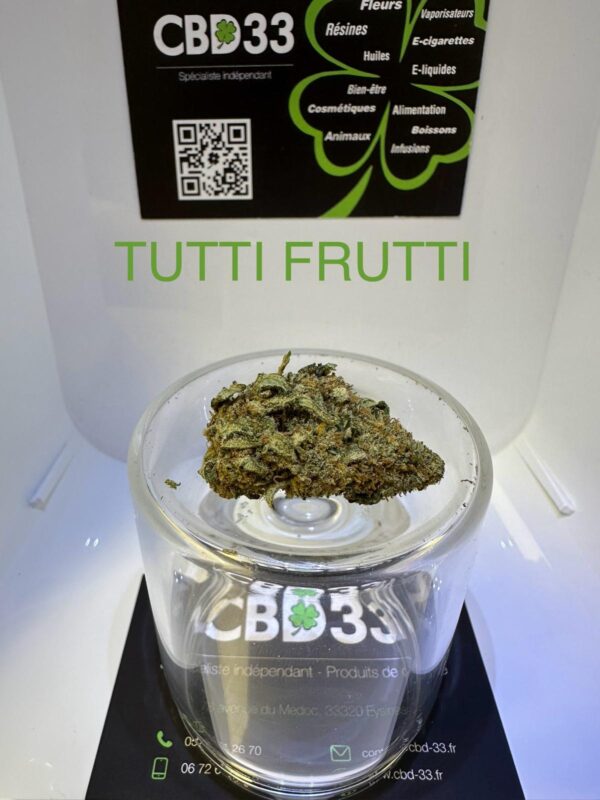 CBD Culture en Intérieur - TUTTI FRUTTI