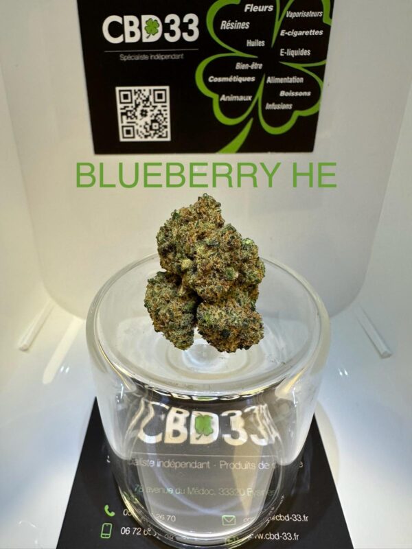 CBD Culture Intérieure - BLUEBERRY HE