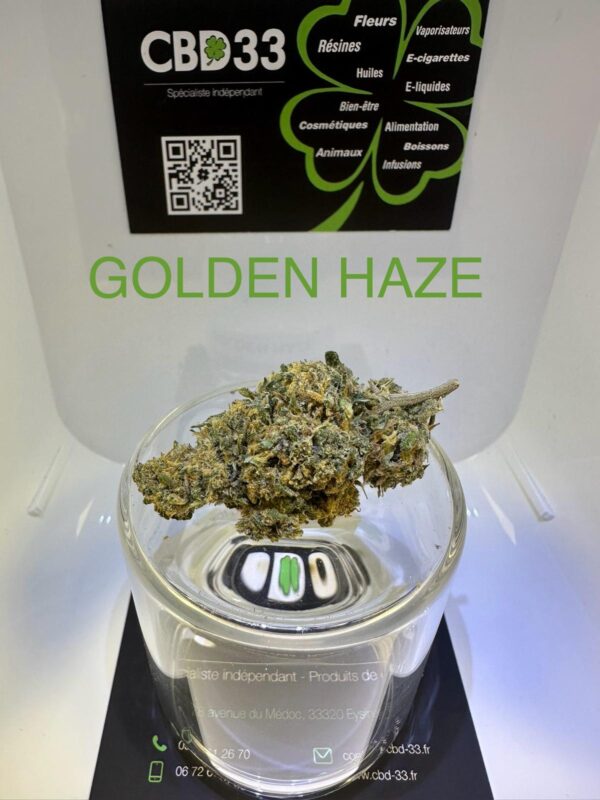 CBD Culture en Intérieur - GOLDEN HAZE