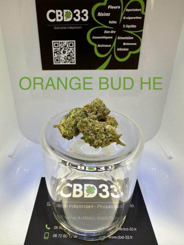 CBD Culture Intérieure - ORANGE BUD HE