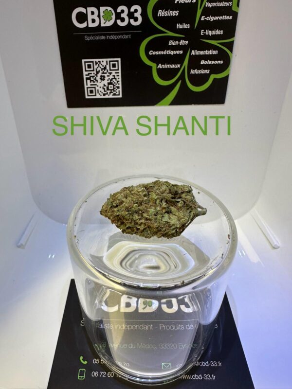 CBD Culture en Serre - SHIVA SHANTI