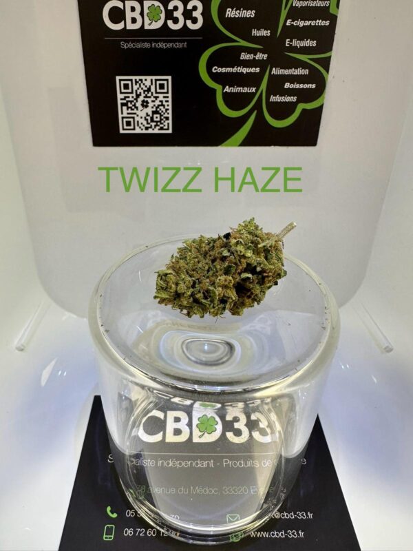 CBD Culture en Serre - TWIZZ HAZE